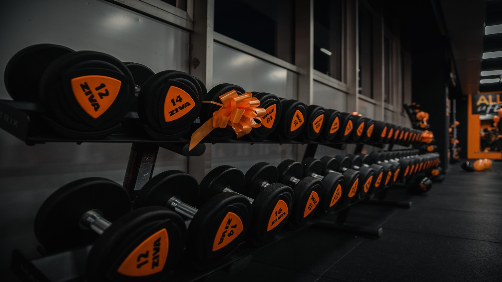 FitActive Trezzo